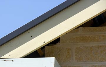 Earls Green fascia repairs