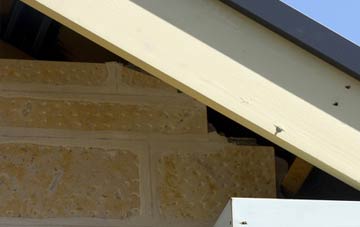 soffit repair Earls Green